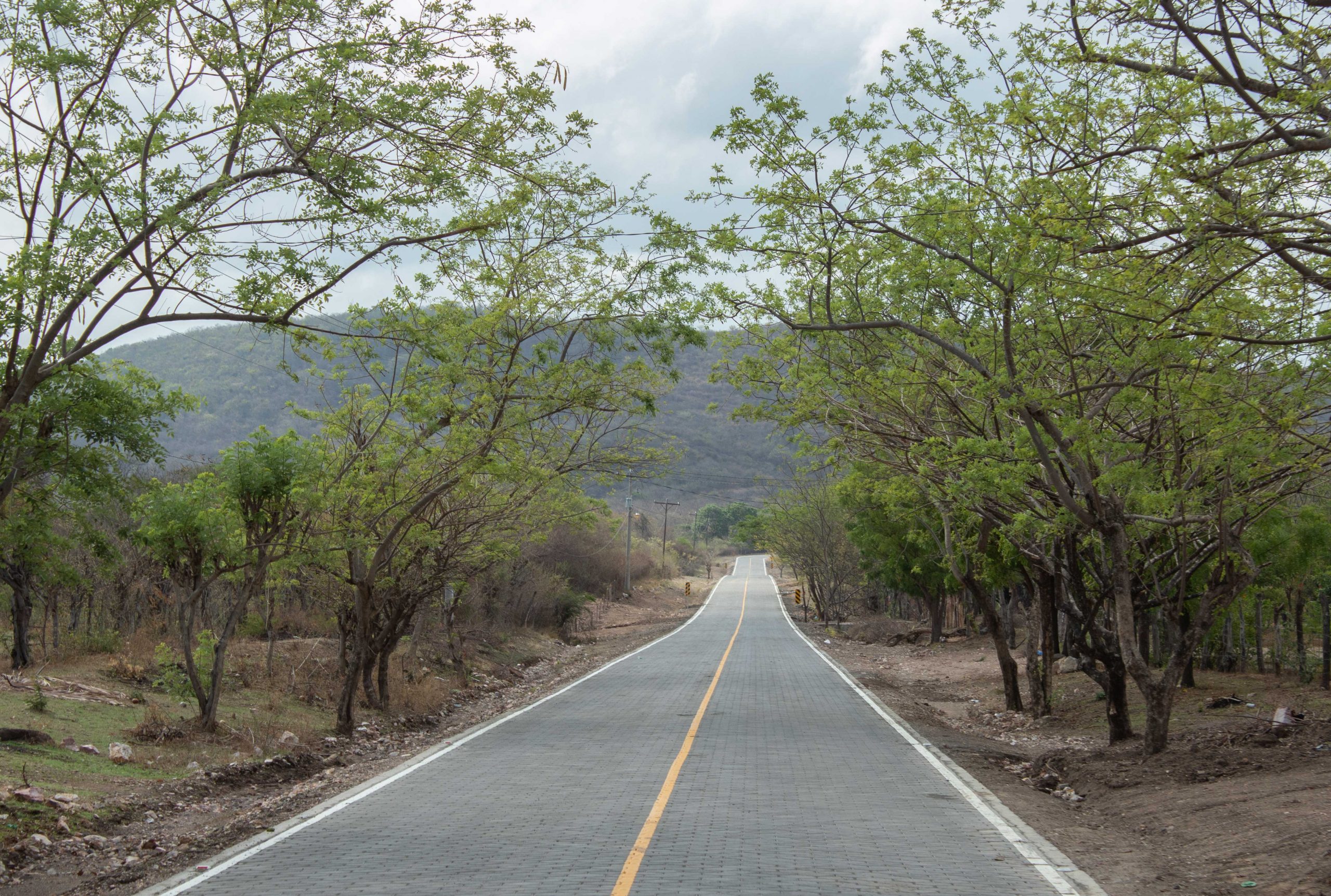 Lee más sobre el artículo Nueva Carretera contribuye al Progreso de Comunidades