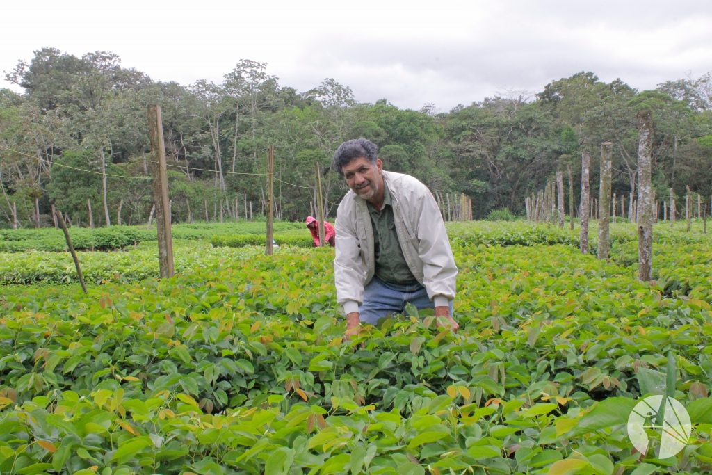 Byron Corrales, propietario del Vivero El Petén.