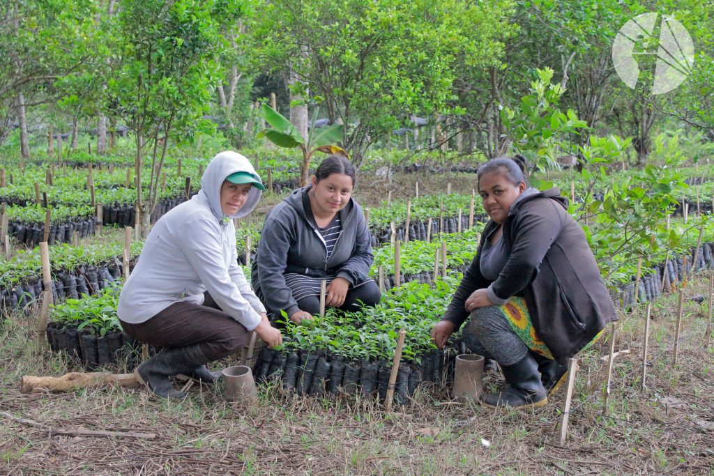 Byron Corrales, propietario del Vivero El Petén.